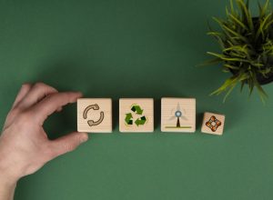 sustainable-development-goals-still-life-scaled_p31168_thumb_resized.jpg